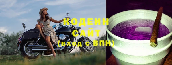 хмурый Осинники