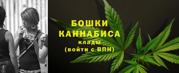 хмурый Осинники