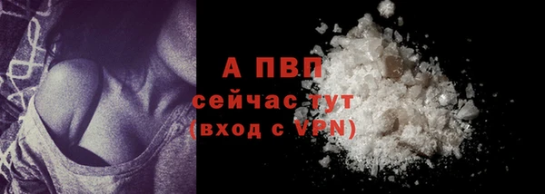 хмурый Осинники