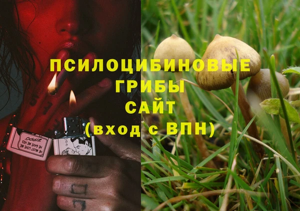 альфа пвп Осташков