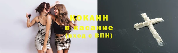 хмурый Осинники