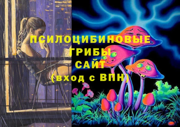хмурый Осинники