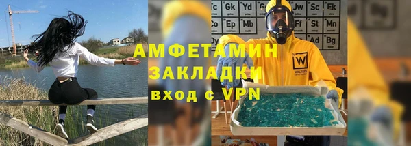 индика Горнозаводск