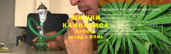 хмурый Осинники