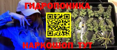 ГАЛЛЮЦИНОГЕННЫЕ ГРИБЫ Волжск