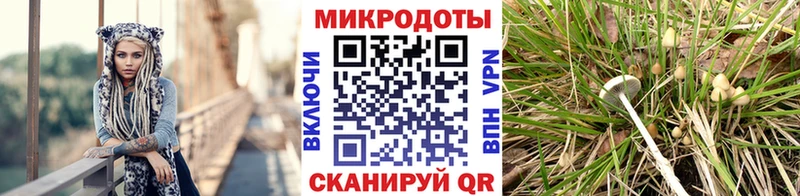 как найти   Кимры  Псилоцибиновые грибы MAGIC MUSHROOMS 
