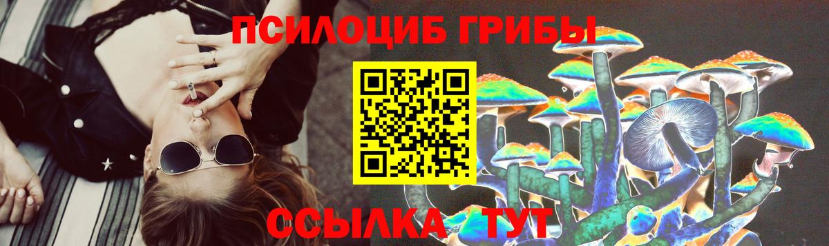 Галлюциногенные грибы Psilocybine cubensis Кимры